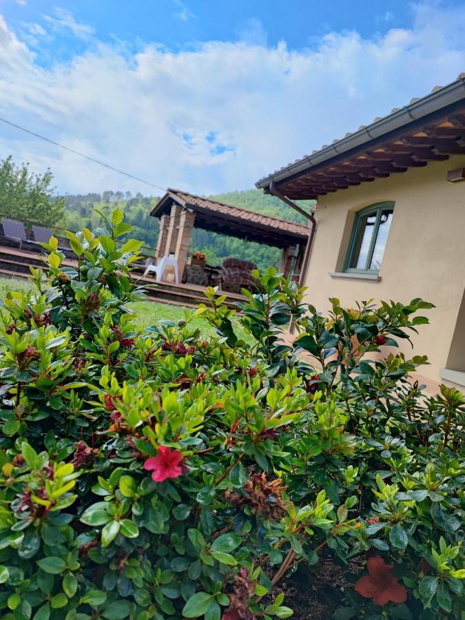 Villa Giulia Fashion B&B Страда Экстерьер фото